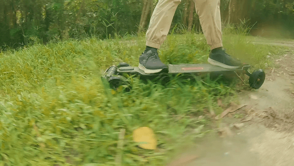 Meepo Hurricane on grass